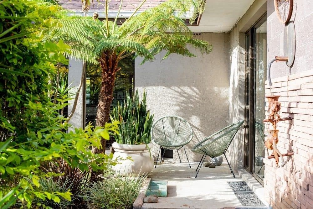 Leafy garden courtyard with tree ferns at Vin Boho Guesthouse, Panorama, Cape Town