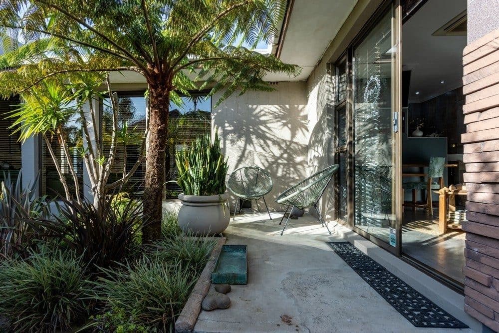 Garden path and tree ferns at Vin Boho Guesthouse