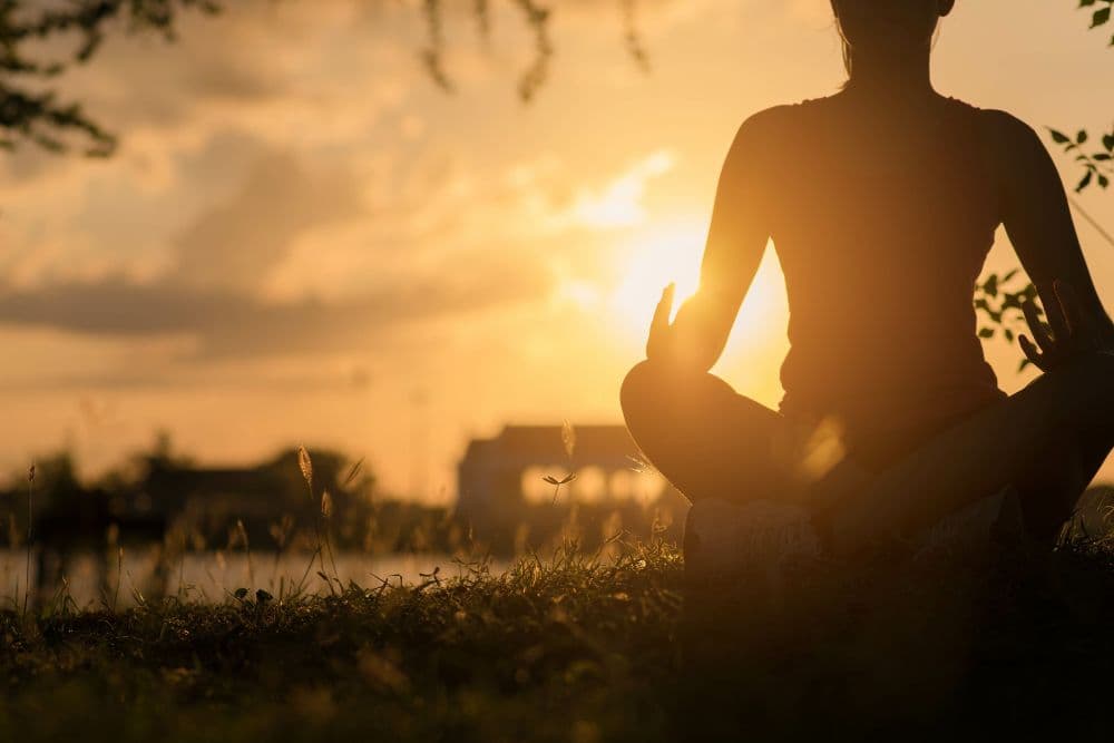 Hands resting in a meditation mudra